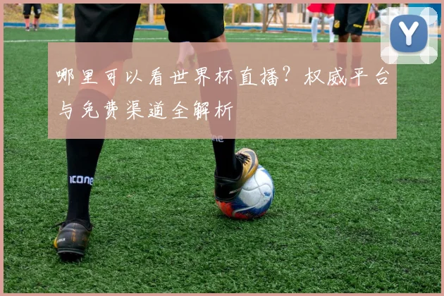哪里可以看世界杯直播?权威平台与免费渠道全解析