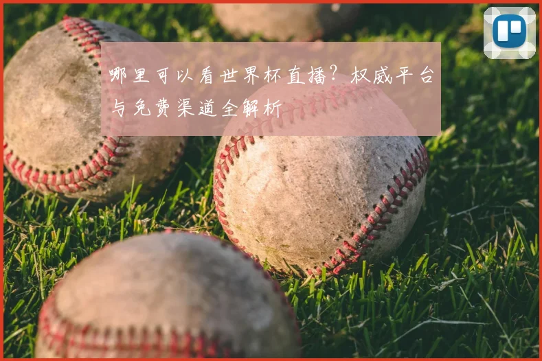 哪里可以看世界杯直播?权威平台与免费渠道全解析